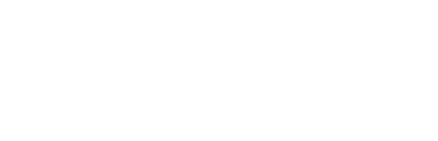 AI Now Polska